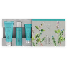 Artistry Skin Nutrition Мини-набор средств для восстановления кожи